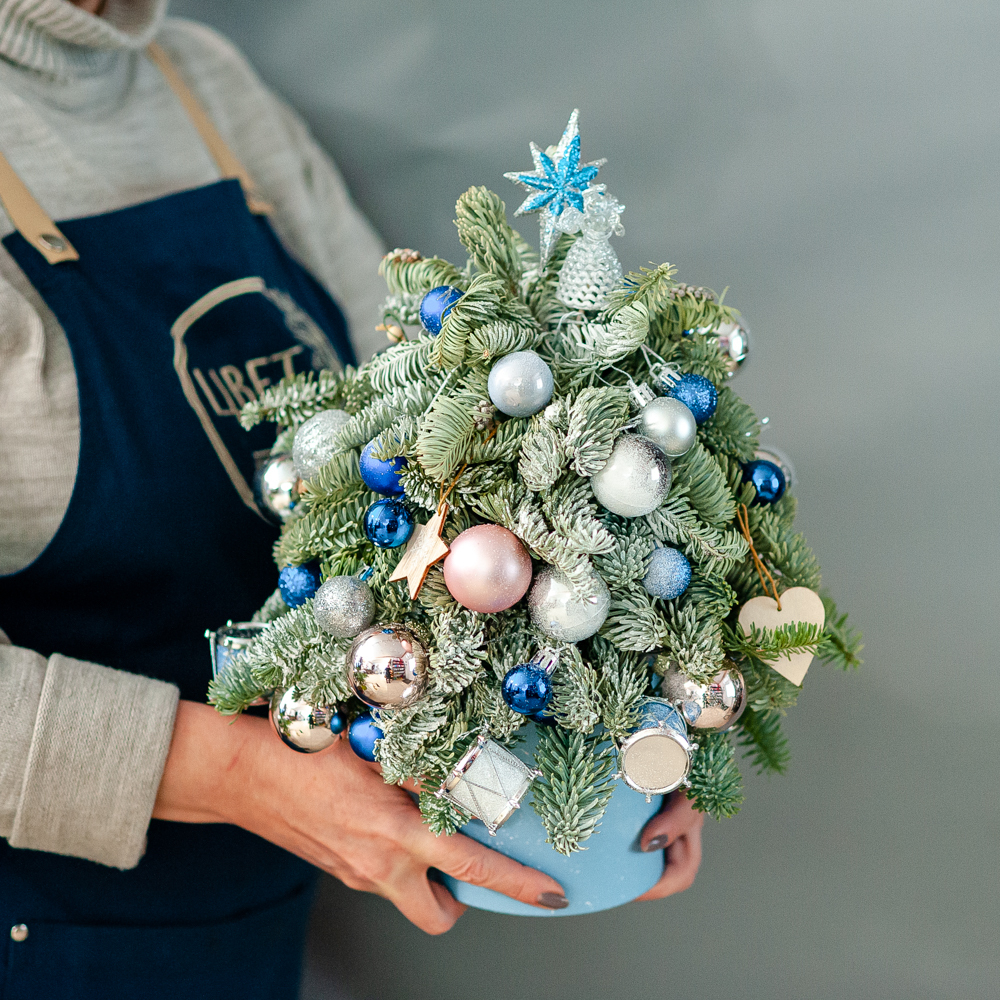 Новогодняя композиция из нобилиса 3