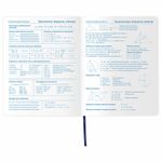 Дневник 1-11 класс 48 л., обложка кожзам (гибкая), термотиснение, фольга, BRAUBERG, "МЕДВЕДЬ", 105969