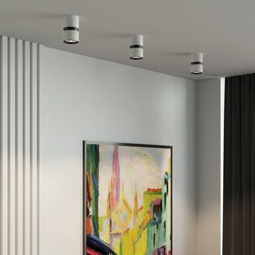 Светильник потолочный светодиодный Kayo 12W 4000К белый/чёрный 25049/LED Elektrostandard