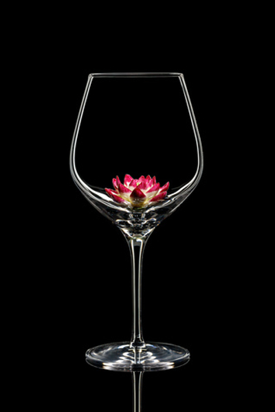 Бокал для красного вина. Лотос пурпурный.