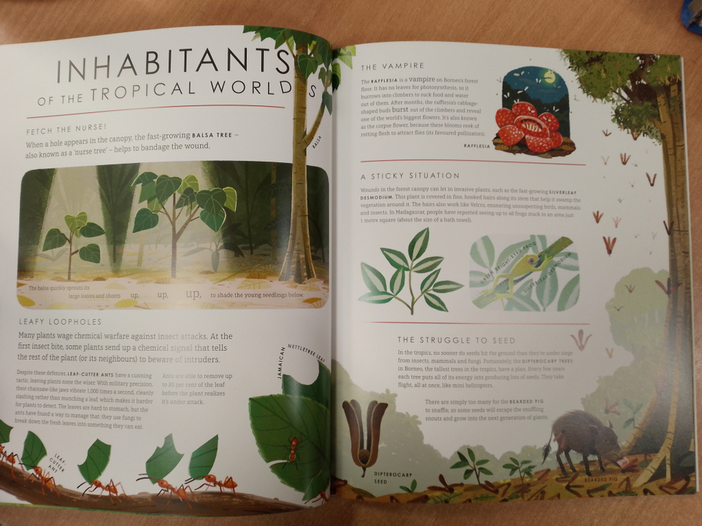 The Green Planet: For young wildlife-lovers inspired by David Attenborough's series