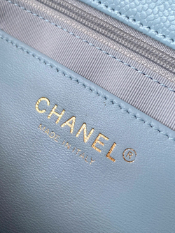 Chanel Bag (3 sizes)