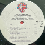 David Sanborn ‎– Straight To The Heart