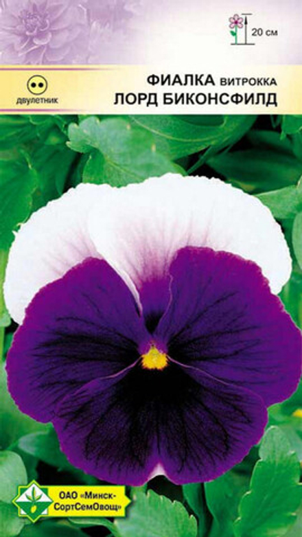 Фиалка витрокка "Витрокка Лорд Биконсфилд" 0.1г, Германия.