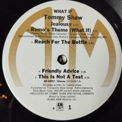 Винтажная виниловая пластинка LP Tommy Shaw What If (USA 1985)