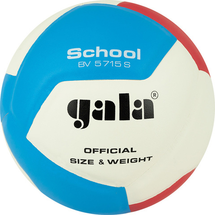 Мяч волейбольный GALA School 12, BV5715S, р. 5, син.кожа ПУ, под.сл. пена, клеен,бут.кам,бел-гол-красн