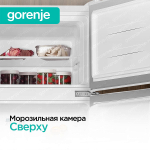 Отдельностоящий Двухкамерный холодильник Gorenje RF212FPW4
