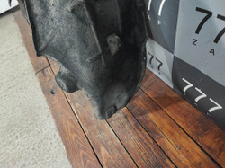 Подкрылок задний правый Skoda Octavia 3 (A7) 13-20 Б/У Оригинал 5E0810970C