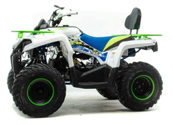 Квадроцикл MOTOLAND 200 Shark (2021 Г.)