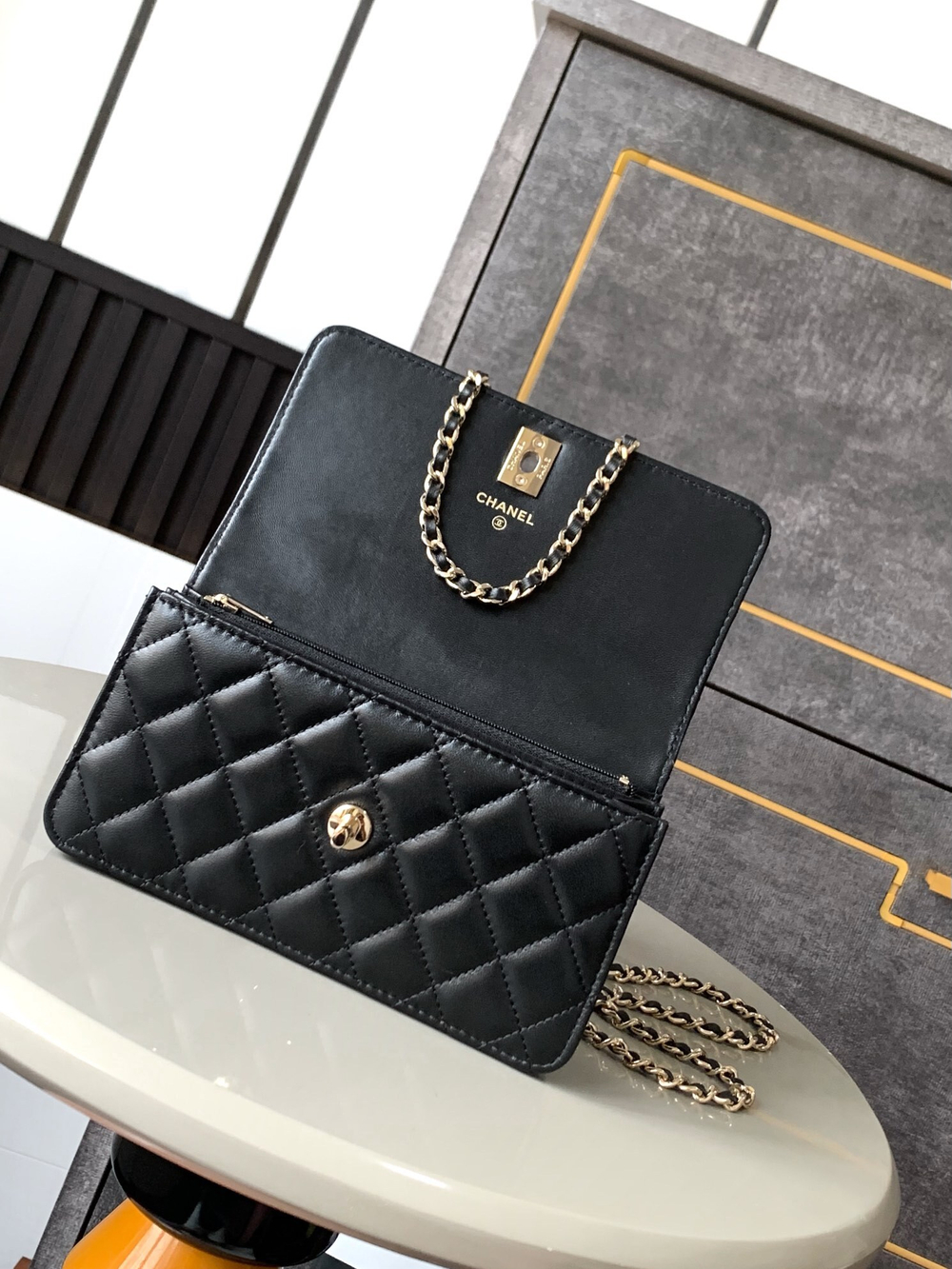 Chanel Bag (2 variants)