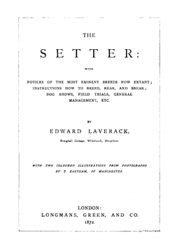 The Setter | Edward Laverack