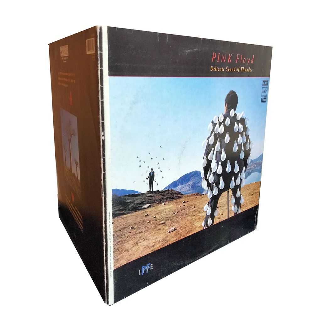 Pink Floyd / Delicate Sound Of Thunder (2LP)