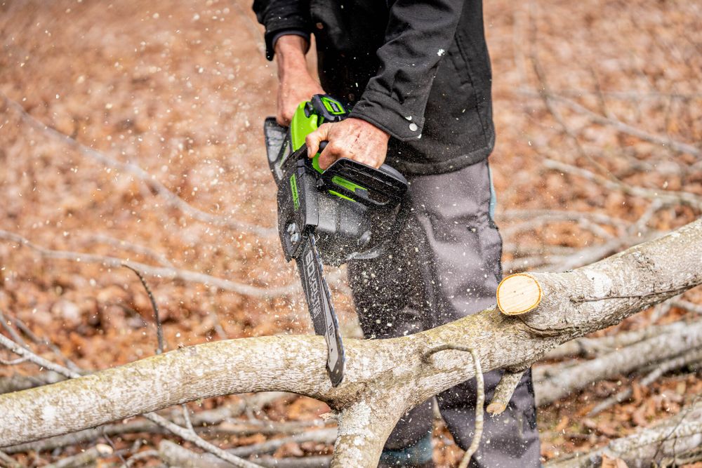 Цепная пила аккумуляторная Greenworks GD60CS25k4 Арт. 2008907UB, 60V, 40 см, бесщеточная, 2500 Вт, с 1хАКБ 4 Ач. и ЗУ