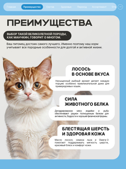 Корм сухой для взрослых кошек породы Манчкин, с лососем, 2 кг, QUATTRO