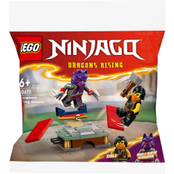Конструктор LEGO Ninjago 30675 Турнирная тренировочная площадка арт. 30675 49 дет — фото 1