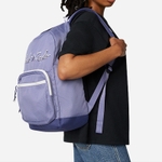 Converse Polyester Backpack Regular Unisex Purple