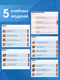 МК с набором для шитья "Реалистичный сиамский котенок"