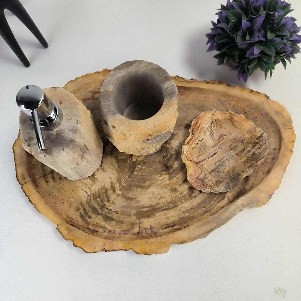 Набор из окаменелого дерева 4 предм Fossil Set NF-63062 поднос 29см*43см