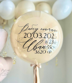 Пастельные воздушные шары на выписку №2712