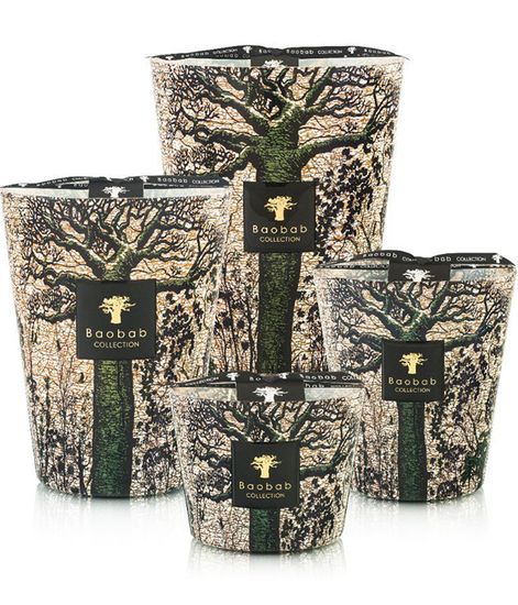 Kani, свеча MAX 24 Sacred Trees collection, Baobab Collection