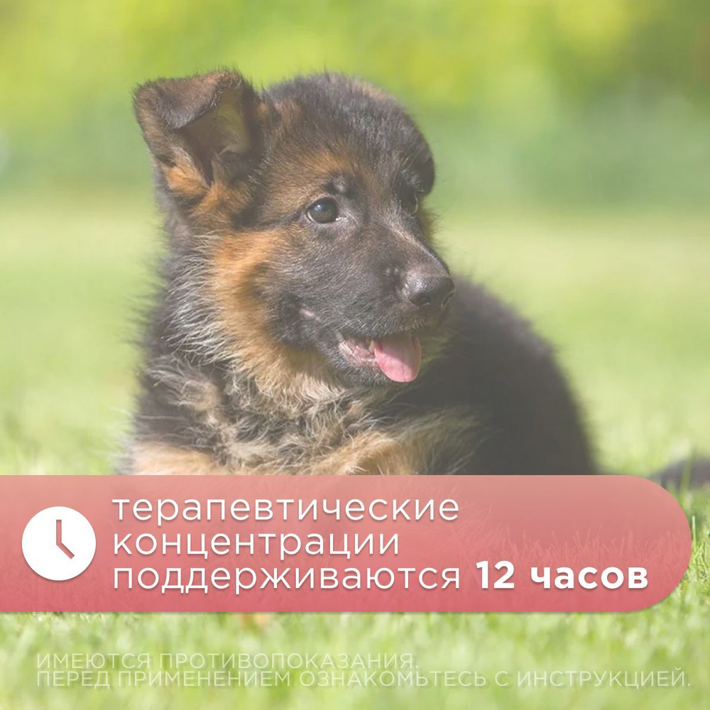 НИТА-ФАРМ Синуксол-нита 500 мг, таблетки, 10 шт. Амоксициллин.