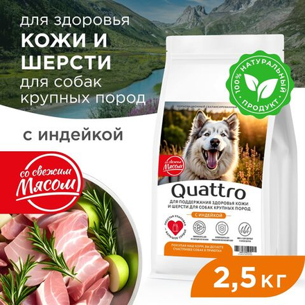 Корм сухой для взрослых собак крупных пород, премиум полнорационный комплекс, здоровье кожи и шерсти, с индейкой, 2,5 кг, QUATTRO