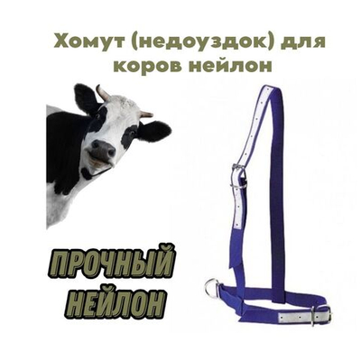Хомут (недоуздок) для коров нейлон, цвет синий