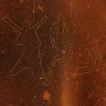 Куртка Wema K95 GLPH2 коричневая