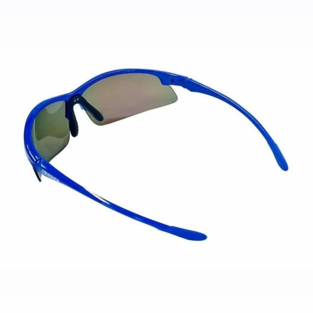 VERTICAL glasses blue, polarized lens CW56 + lens CW36