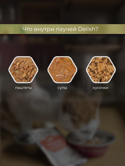 НАБОР Консервы DELISH Super Premium для кошек, курица/овощи/клюква - 10 шт х 80 гр