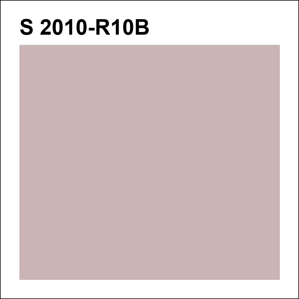 S 2010-R10B за кг