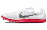 Кроссовки Nike Zoom Rival D 10
