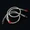 ddHiFi RC20A 2RCA-2RCA 40cm