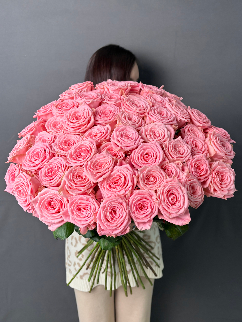 51 Роза «Софи Лорен» 60см,70см