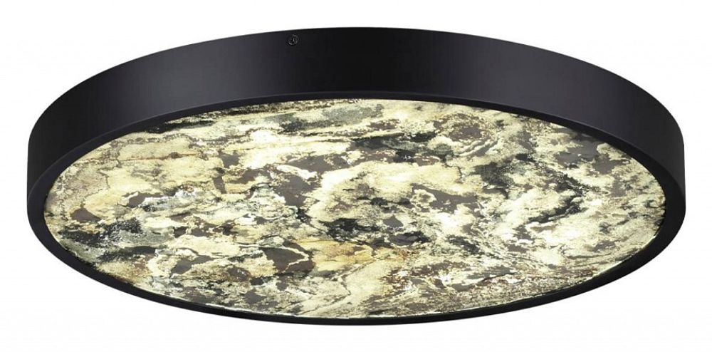 Накладной светильник Odeon Light Bergi 5064/40L