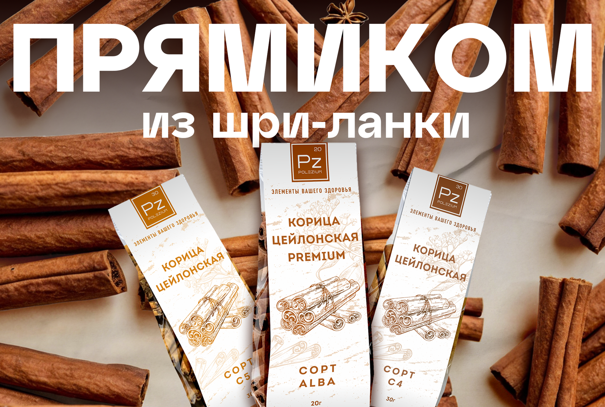 Слайды Блок 31