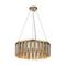 Подвесная люстра Favourite Slang 4503-25P