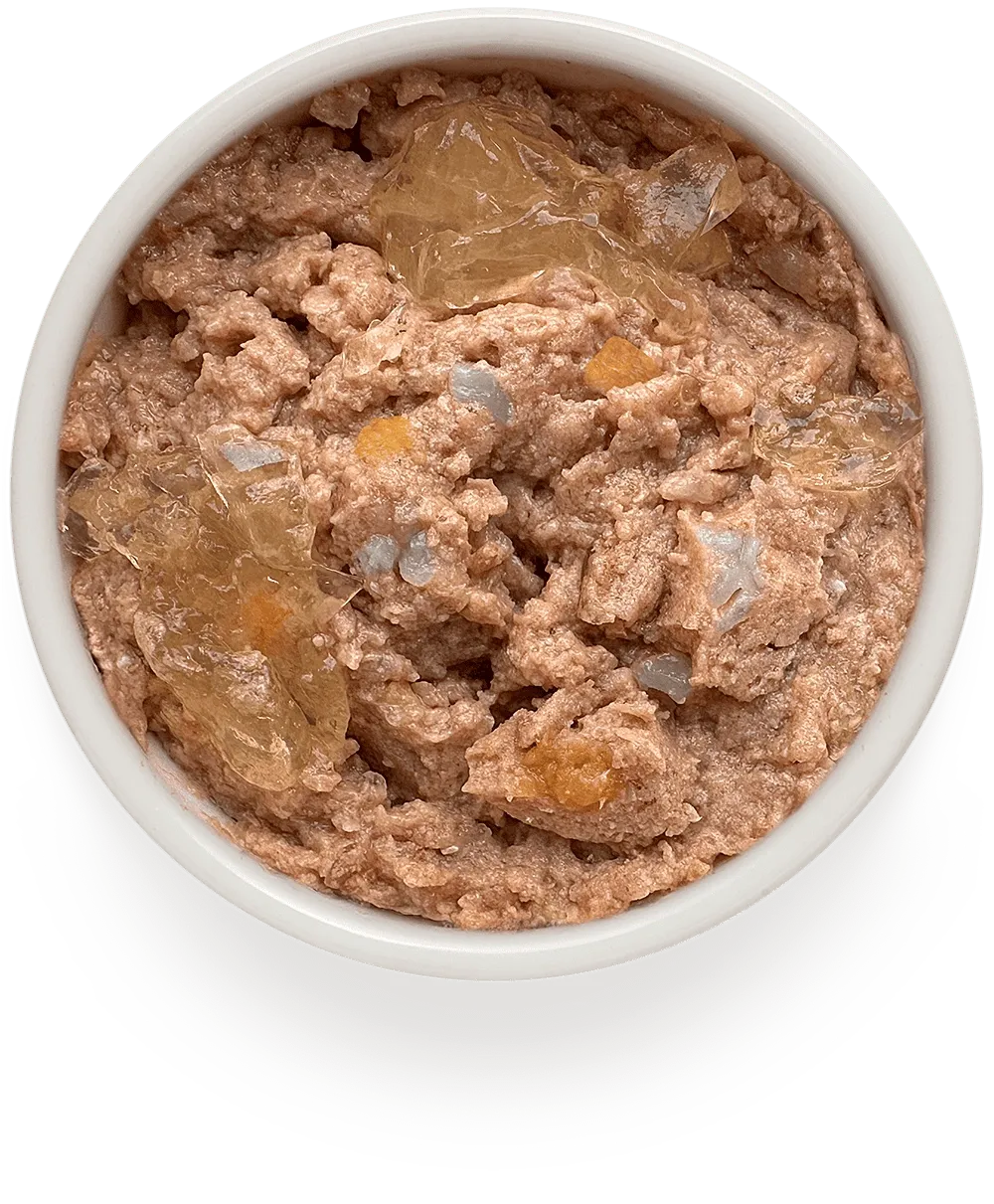 Консервы GRANDORF FRESH для собак, паштет из говядины с цукини и морковью