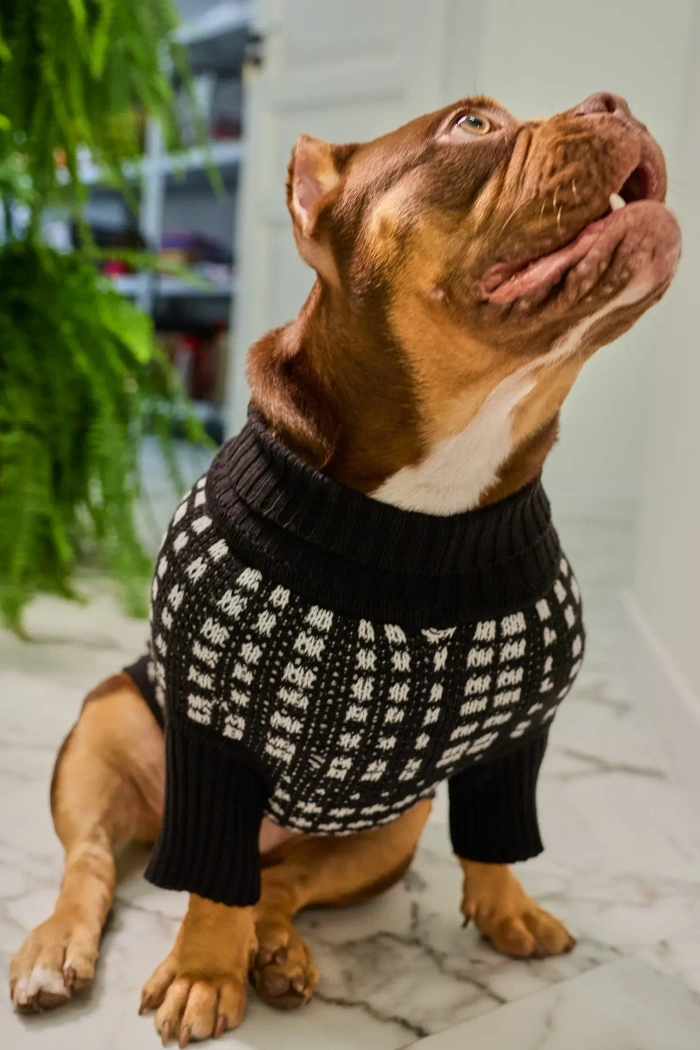 Для собачки