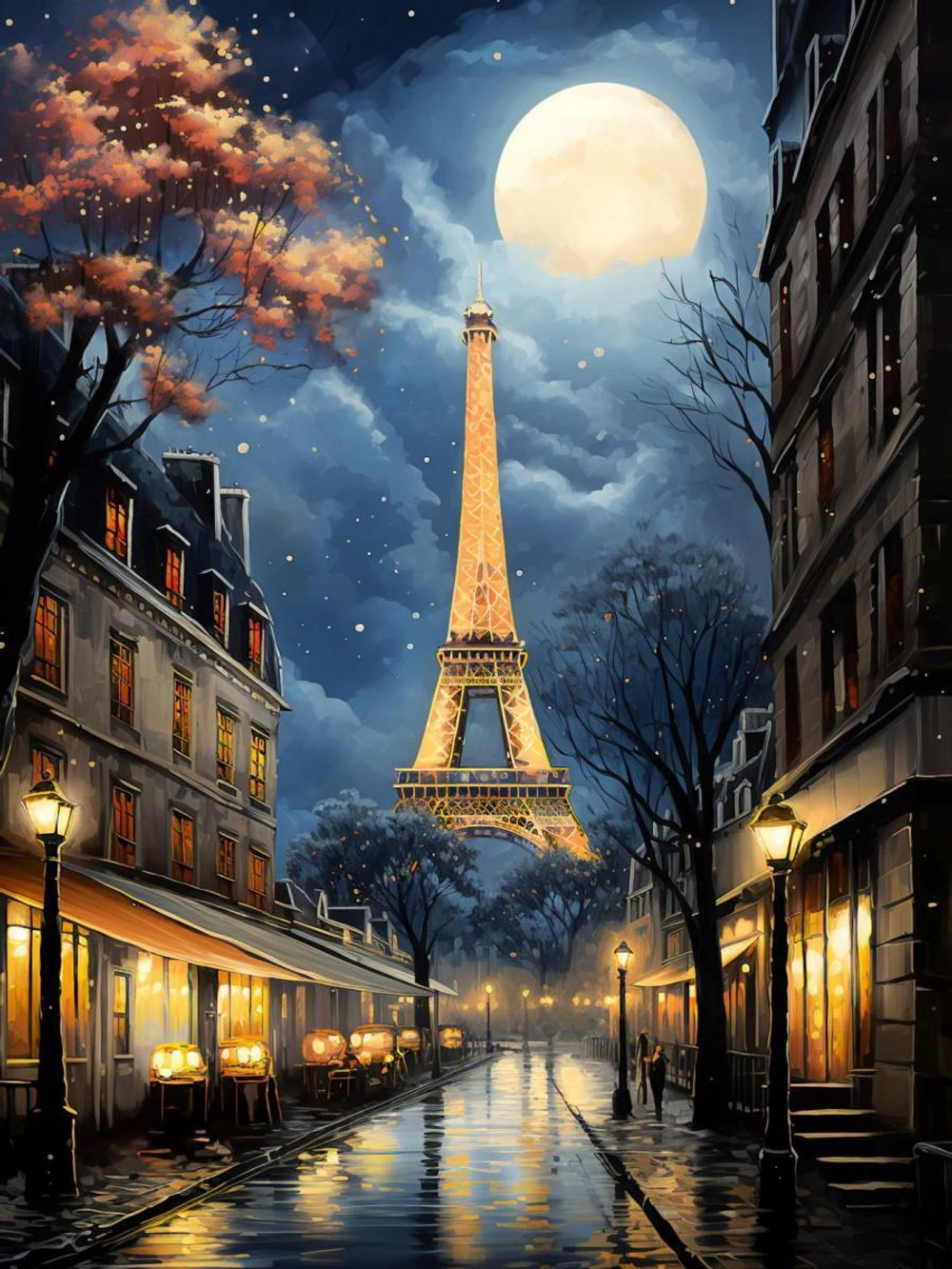 Алмазная мозаика 30х40см. "Ночной Париж" с полн.заполнен.без подрам.(30цв) (Арт.НД-6326)