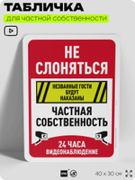 Табличка для частной территории "Не слоняться, частная собственность, видеонаблюдение 24 часа", на дом, для участка, предупреждающая, 40х30 см, Silver Plane x Айдентика Технолоджи