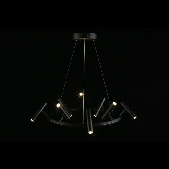 Подвесная светодиодная люстра Aployt Honor APL.067.03.40