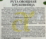 Рута Кружевница 0,1 г СМЗ-276