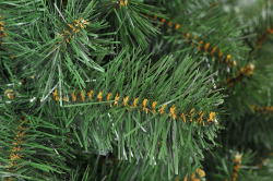 Ель искуственная Царь елка Премиум 200 см