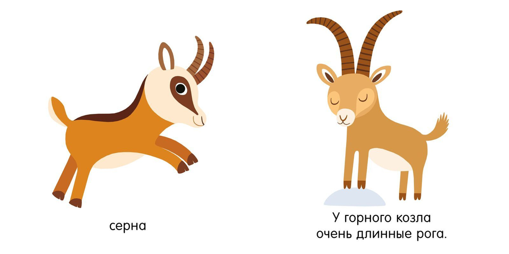 Первые книжки малыша. Мои первые слова. Животные