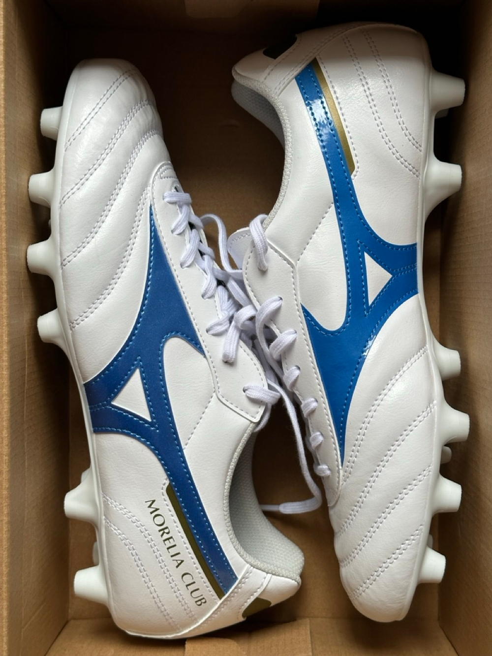 Mizuno morelia club fg best sale