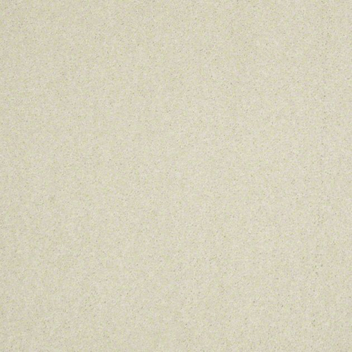 Ковровое покрытие Shaw Floors See the World III 100