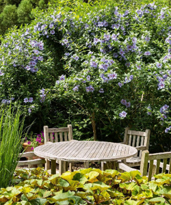 The Gardens of the Hamptons
