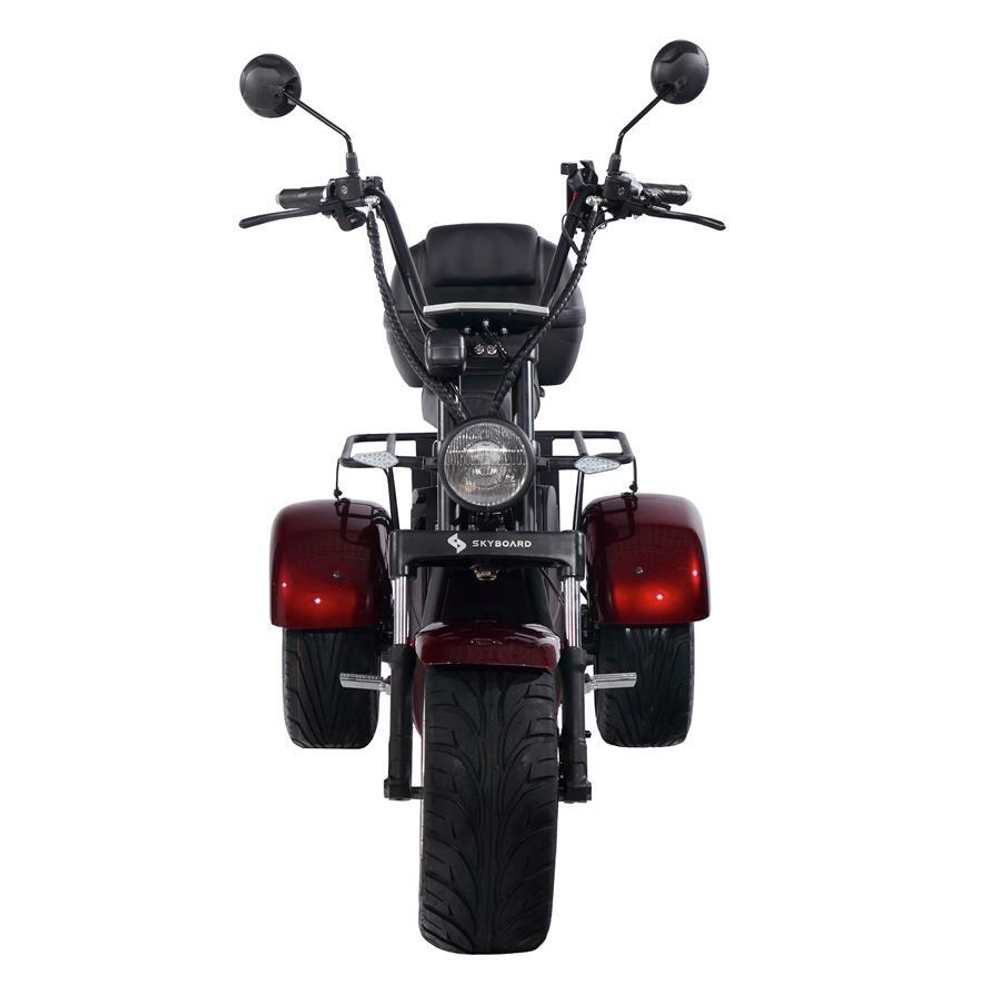 Электроскутер SkyBoard Trike BR80