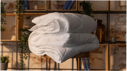 Одеяло Dreamline Шелк Зима